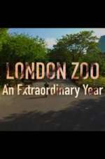 Watch London Zoo: An Extraordinary Year Vodly