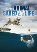 Watch An Animal Saved My Life Vodly