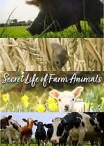 Watch Secret Life of Farm Animals Vodly