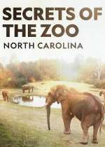 Watch Secrets of the Zoo: North Carolina Vodly