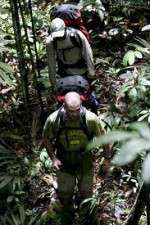 Watch Walking The Amazon Vodly
