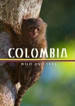 Watch Colombia: Wild and Free Vodly