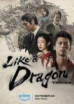 Watch Like a Dragon: Yakuza Vodly