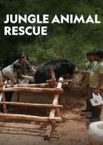 Watch Jungle Animal Rescue Vodly