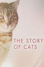 Watch The Story of Cats Vodly