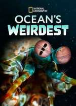 Watch Ocean's Weirdest Vodly