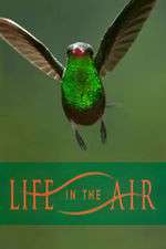 Watch Life in the Air Vodly