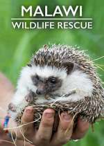 Watch Malawi Wildlife Rescue Vodly