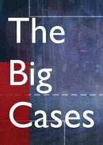 Watch The Big Cases Vodly