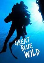 Watch Great Blue Wild Vodly