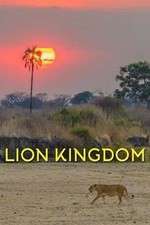 Watch Lion Kingdom Vodly