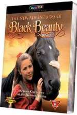 Watch The New Adventures of Black Beauty Vodly