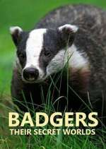 Watch Badgers: Their Secret Worlds Vodly