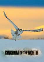Watch Kingdom of the North Vodly