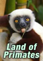 Watch Land of Primates Vodly