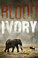 Watch Blood Ivory Vodly