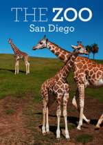 Watch The Zoo: San Diego Vodly