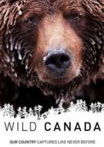 Watch Wild Canada Vodly