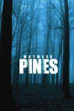 Watch Wayward Pines Vodly