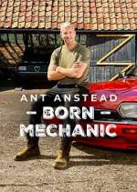 Watch Ant Anstead: Born Mechanic Vodly