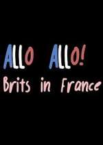 Watch Allo Allo! Brits in France Vodly