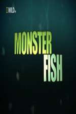 Watch National Geographic Monster Fish Vodly