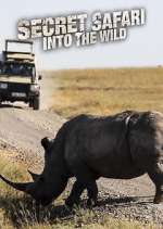 Watch Secret Safari: Into the Wild Vodly