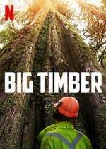 Watch Big Timber Vodly