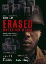 Watch Erased: WW2's Heroes of Color Vodly
