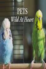 Watch Pets - Wild at Heart Vodly