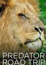 Watch Predator Road Trip Vodly