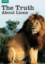 Watch The Truth About Lions Vodly