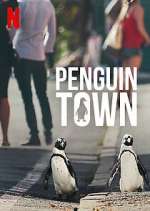 Watch Penguin Town Vodly