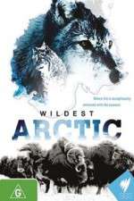 Watch Wildest Arctic Vodly