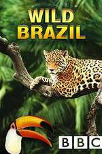 Watch Wild Brazil Vodly