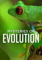 Watch Mysteries of Evolution Vodly