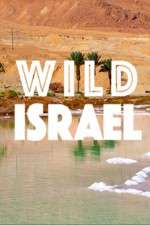 Watch Wild Israel Vodly