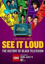 Watch See It Loud: The History of Black Television Vodly