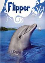 Watch Flipper Vodly