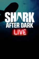 Watch Shark After Dark Vodly