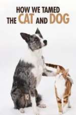 Watch How We Tamed the Cat and Dog Vodly
