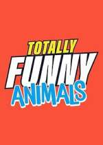 Watch Totally Funny Animals Vodly