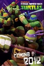 Watch Teenage Mutant Ninja Turtles Vodly