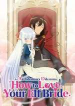 Watch An Archdemon's Dilemma: How to Love Your Elf Bride Vodly