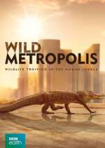 Watch Wild Metropolis Vodly