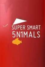 Watch Super Smart Animals Vodly