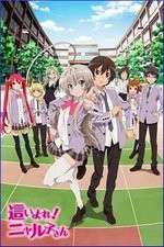 Watch Haiyore Nyaruko-san Vodly