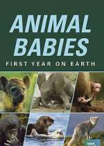 Watch Animal Babies: First Year on Earth Vodly
