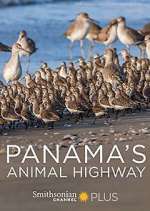 Watch Panama's Animal Highway Vodly