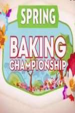 Watch Vodly Spring Baking Championship Online